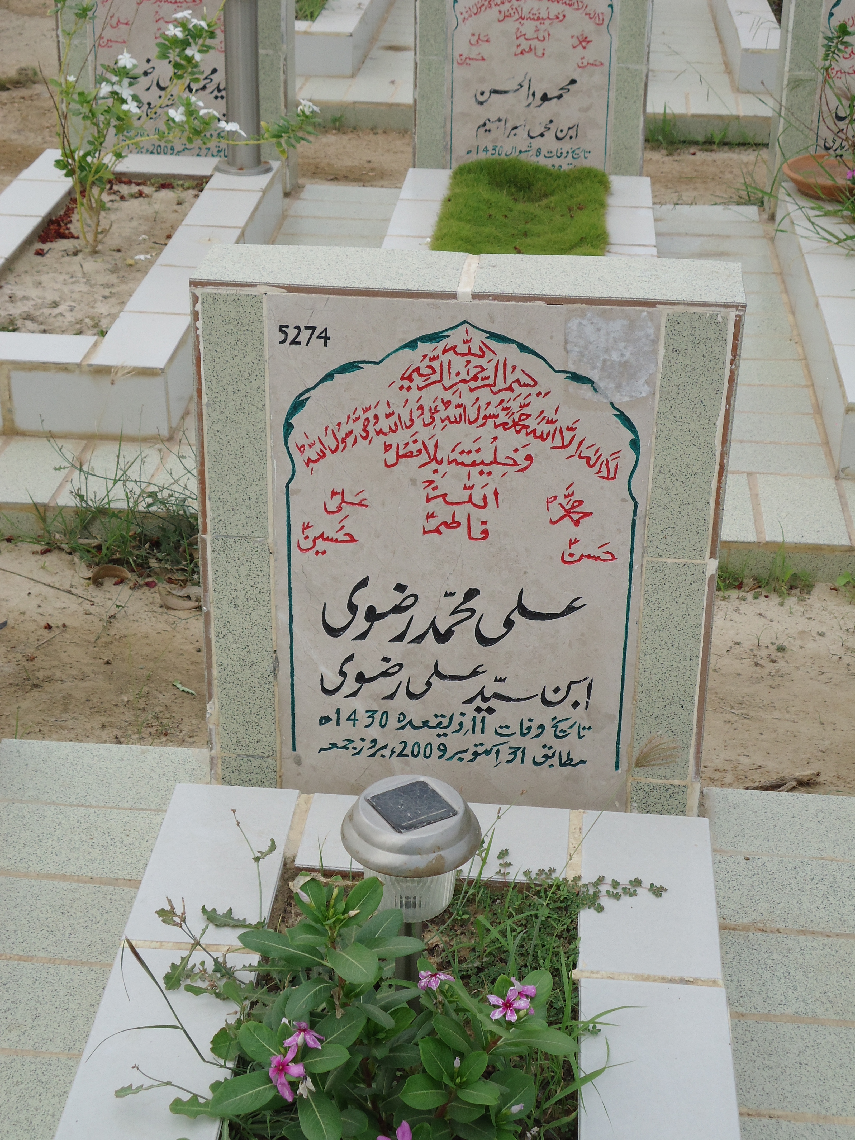 5274 – Ali Mohd Rizvi